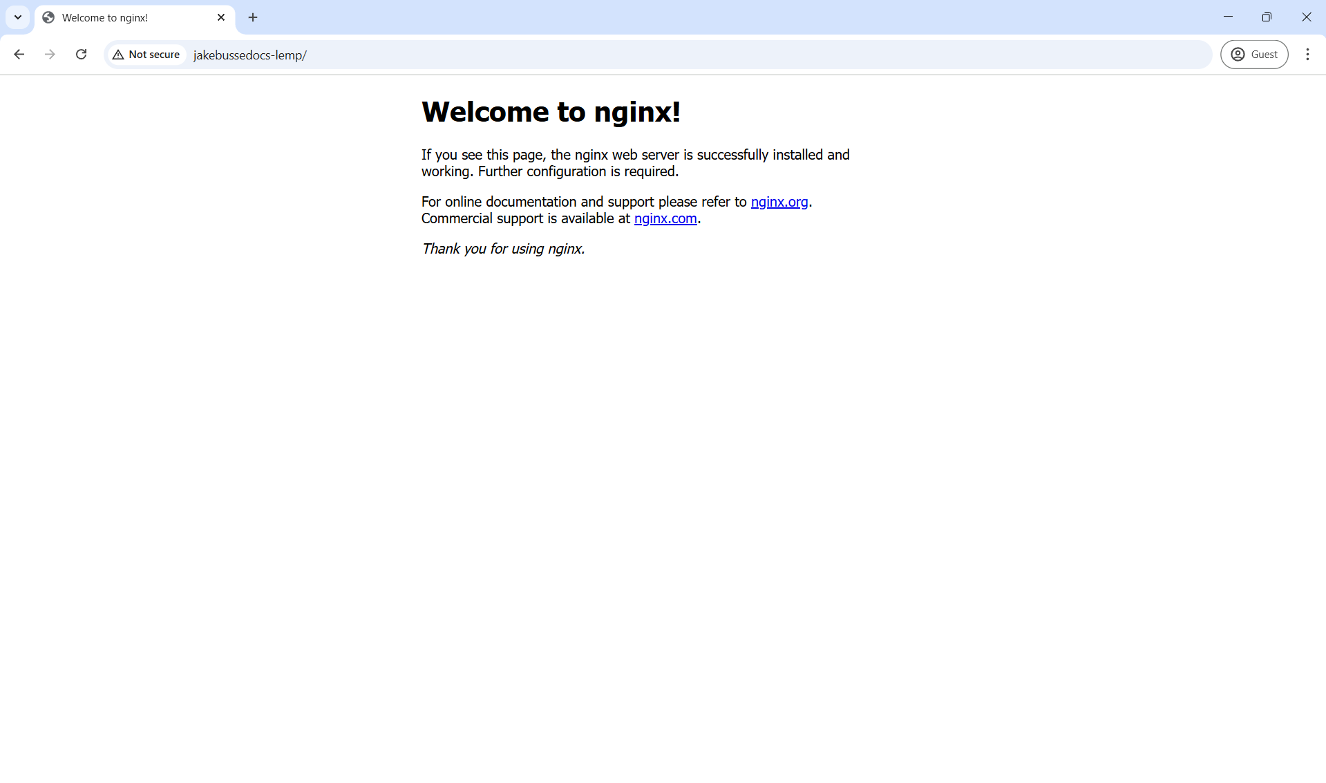 Default nginx landing page